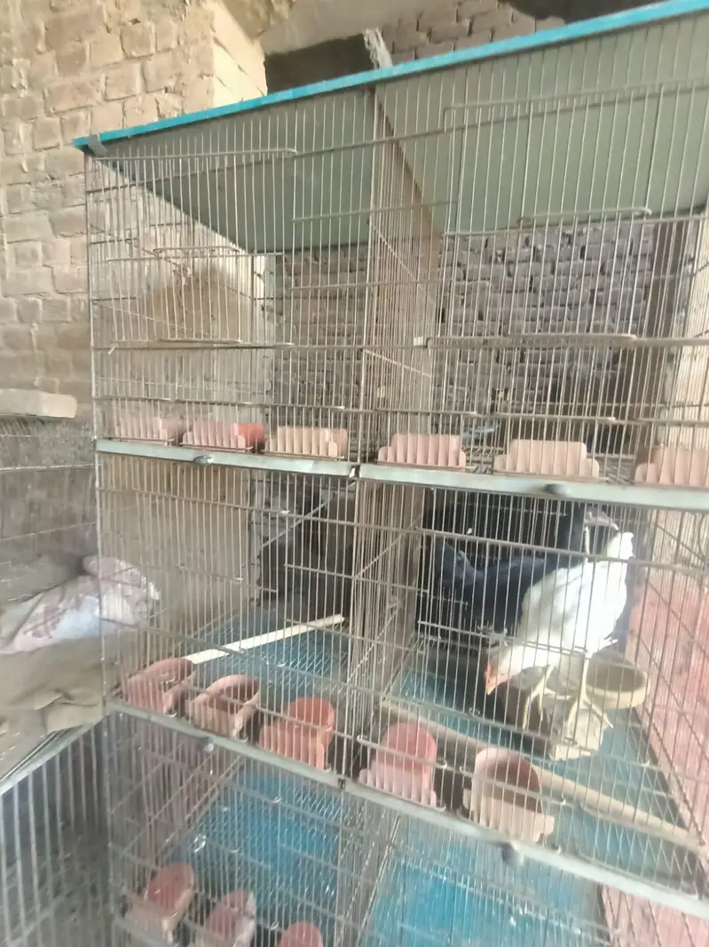 iron cage for sale no rust — photo 7