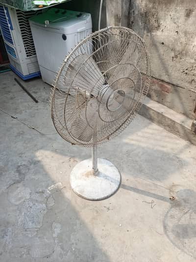 padistle Fan