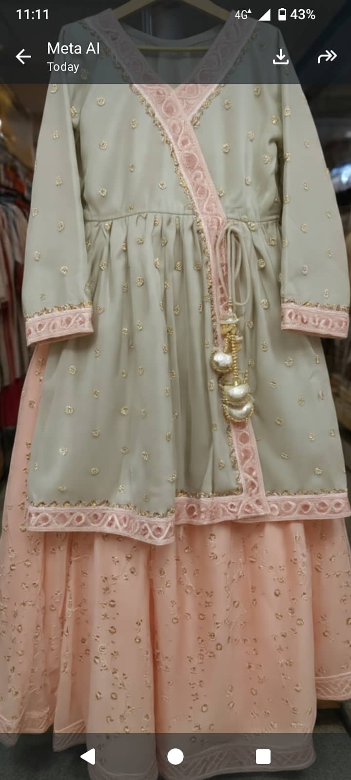 Lehenga 4
