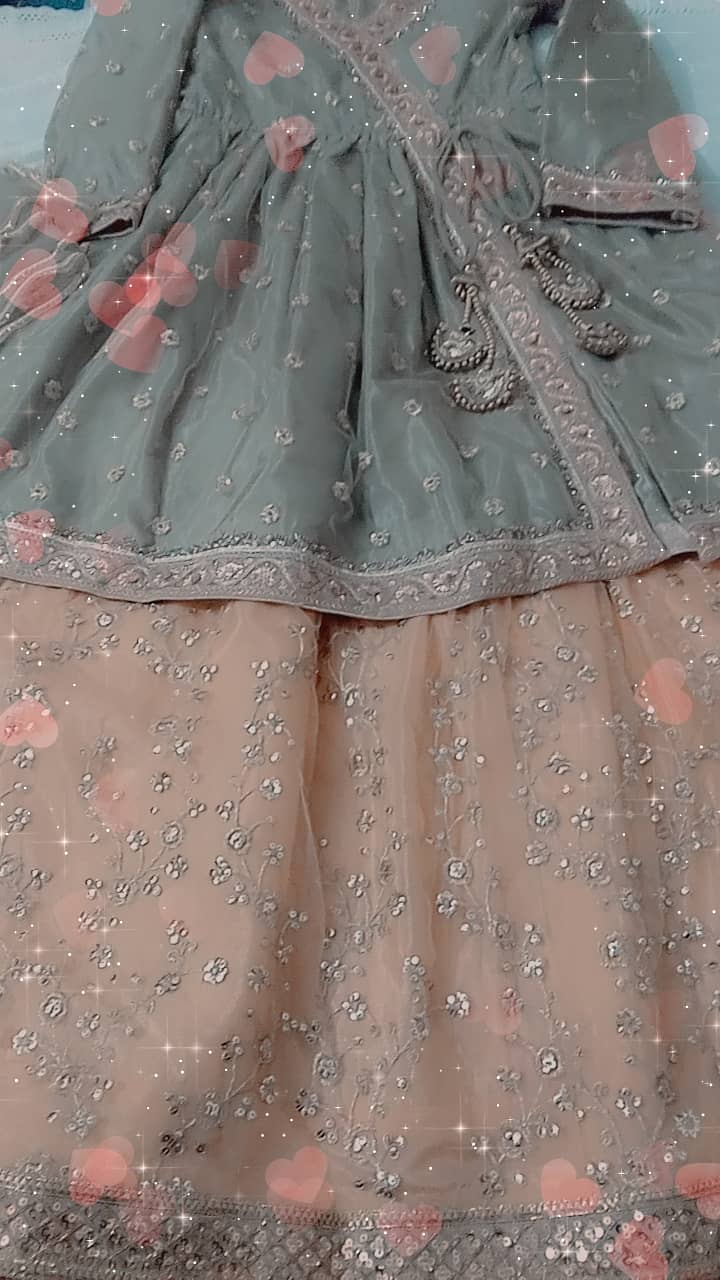 Lehenga 6