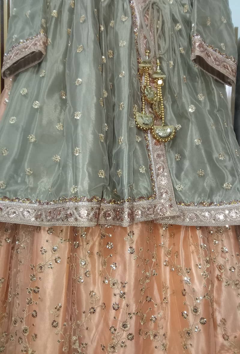 Lehenga 7