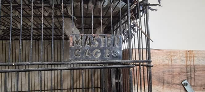 master cage 3 x 1.5ft