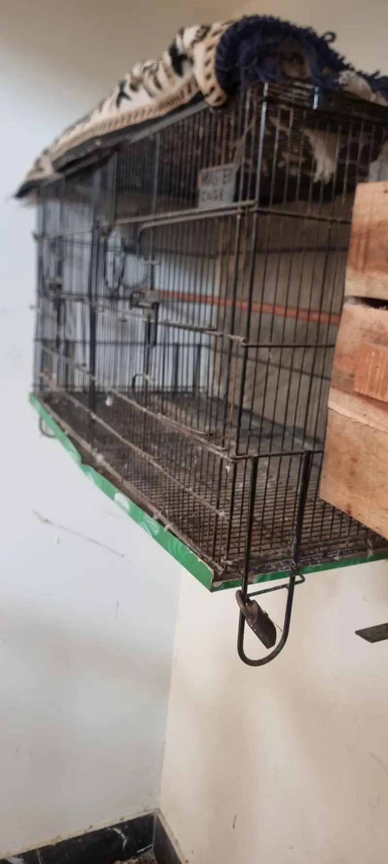 master cage 3 x 1.5ft — photo 2