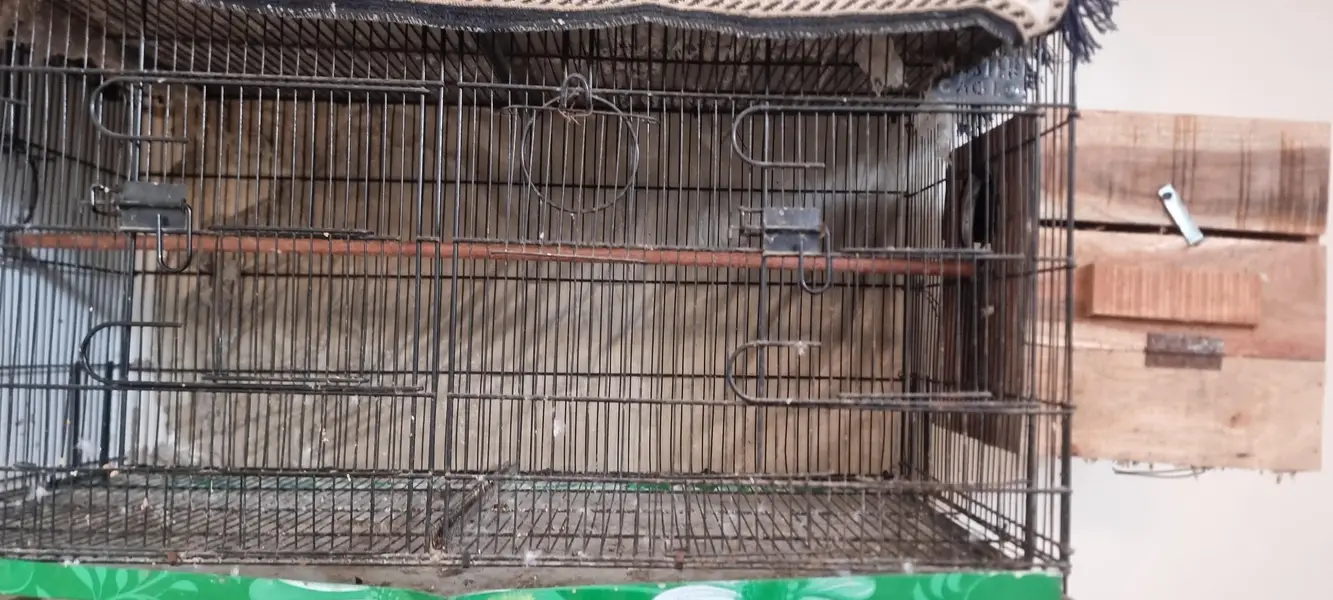 master cage 3 x 1.5ft — photo 4