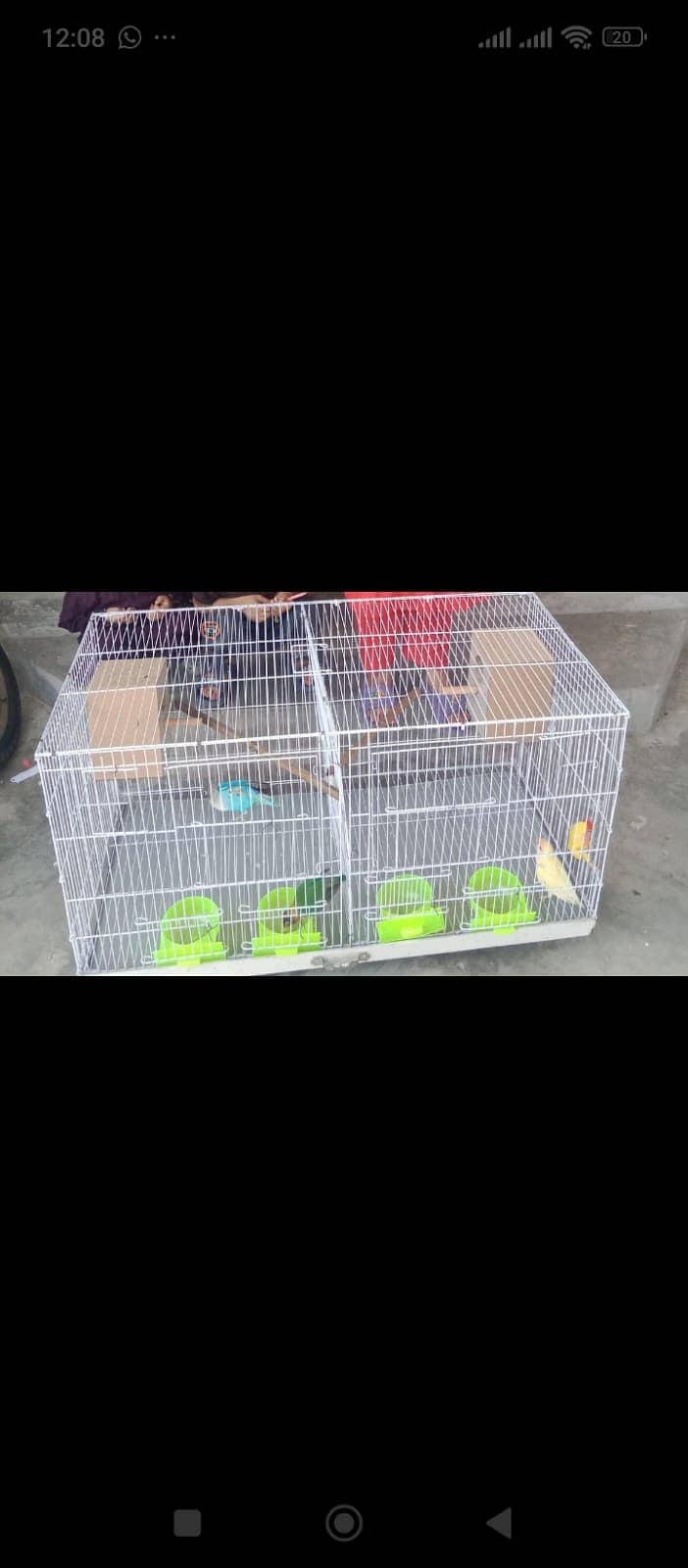 Brids cage 0