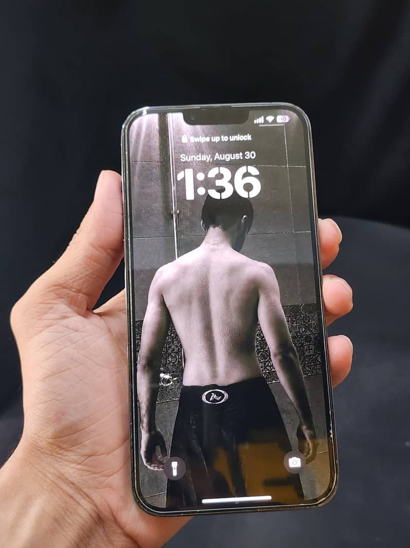 Apple iPhone 13 Pro Max 2