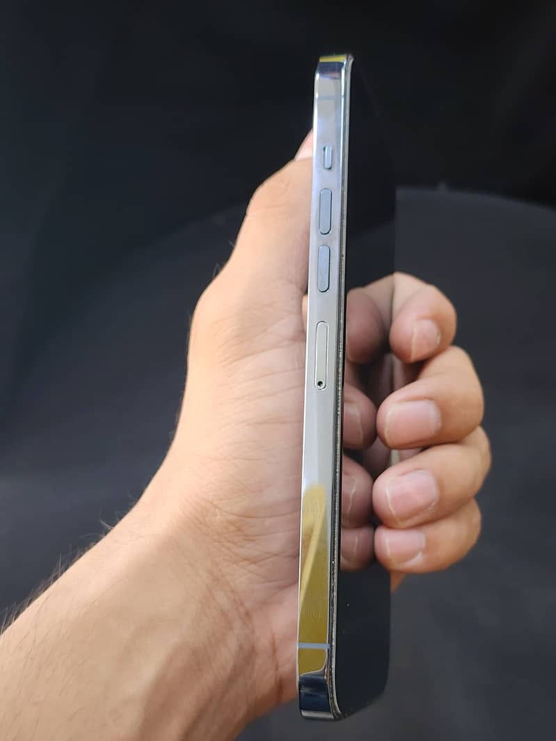Apple iPhone 13 Pro Max 6