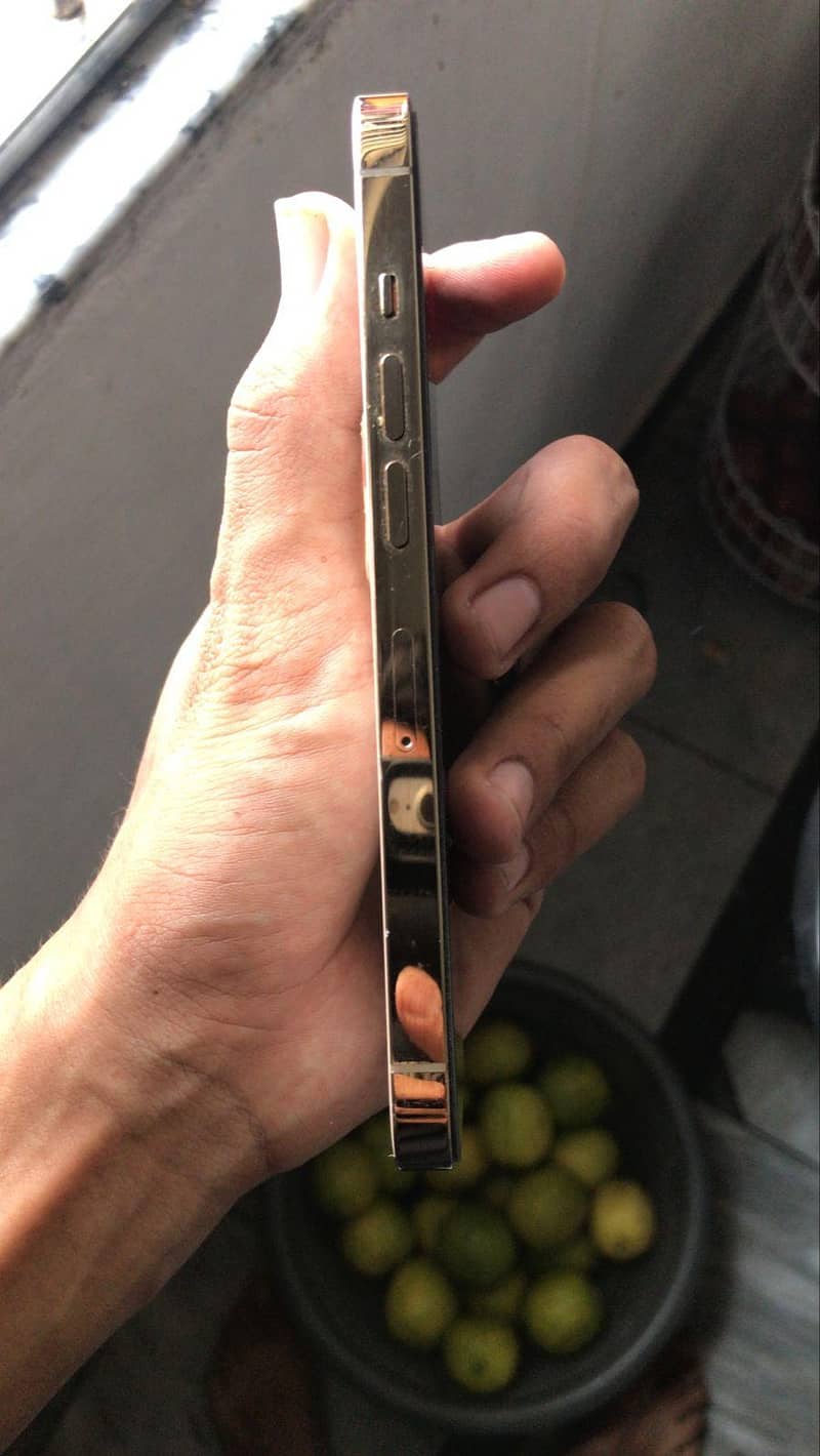 Apple iPhone 13 Pro 1