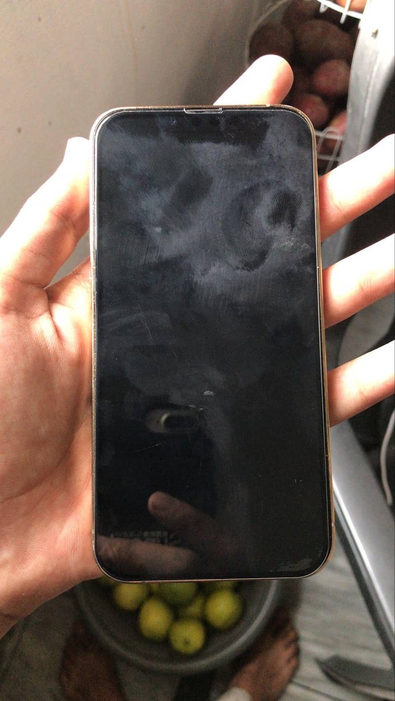 Apple iPhone 13 Pro 2