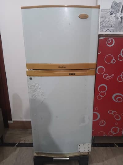 Refrigerator/ Fridge