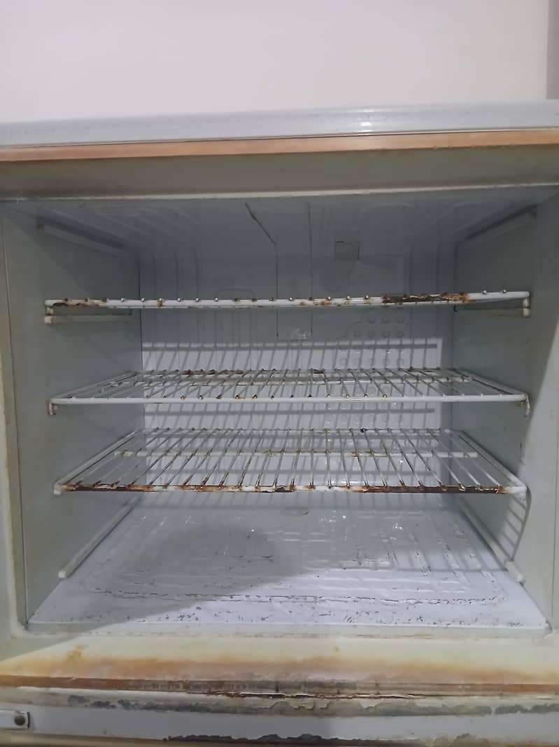 Refrigerator/ Fridge 5