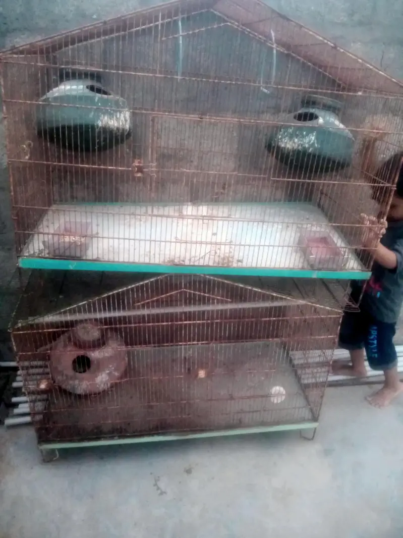 for sale cage — photo 2