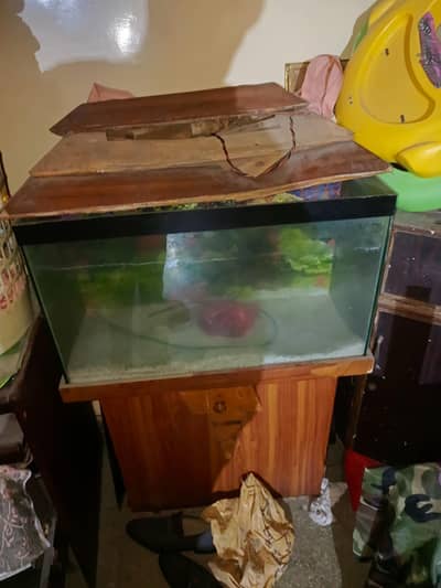 Aquarium for sale