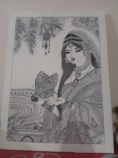 Sketch