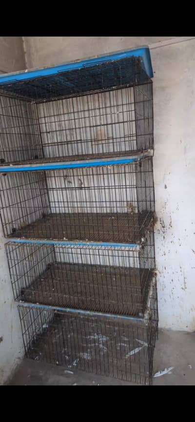 cage for sale