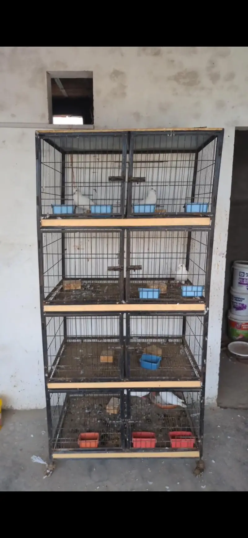 cage for sale — photo 2