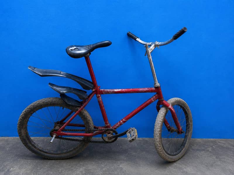 SINGLE FRAME CYCLE 1