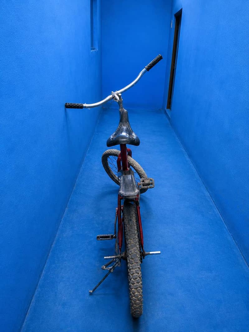 SINGLE FRAME CYCLE 2