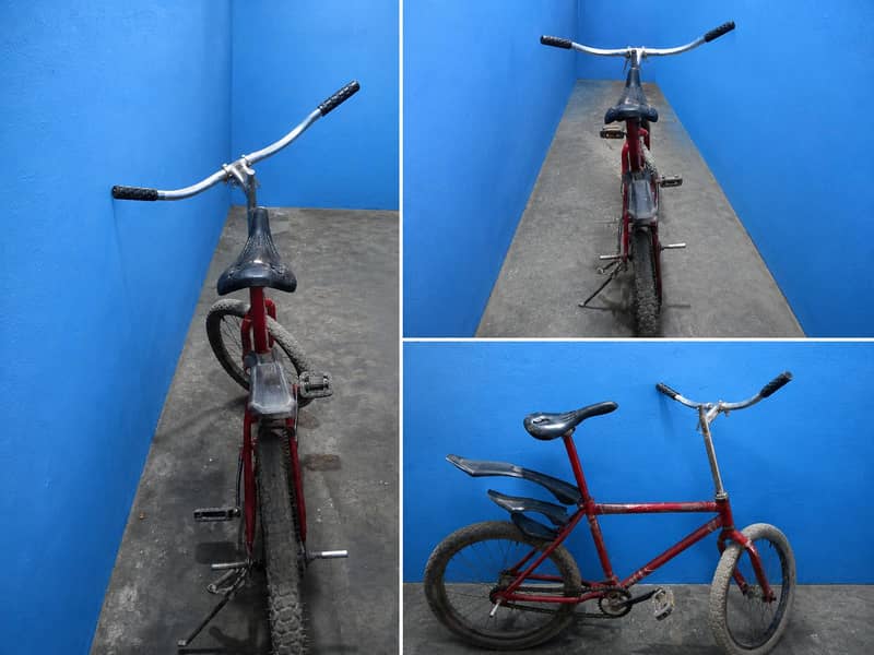 SINGLE FRAME CYCLE 3