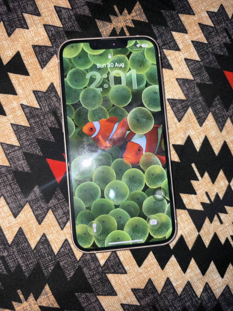 Iphone 13 fu 3