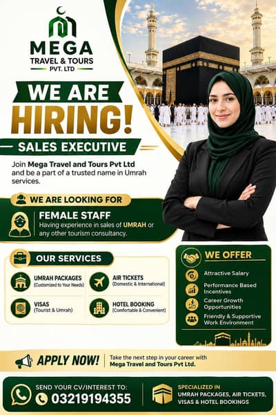 Sales Executive