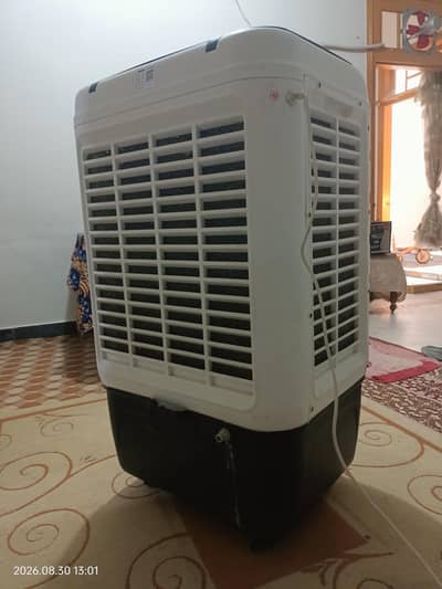 Original Royal Fan
