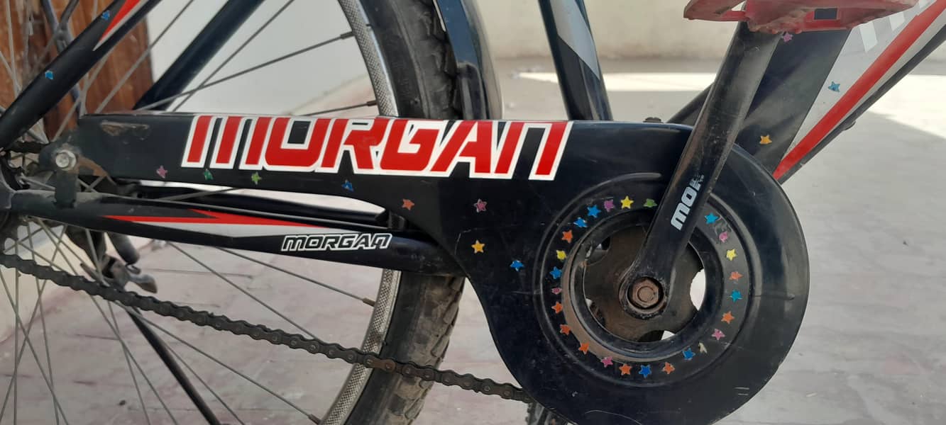 morgan cycle 4