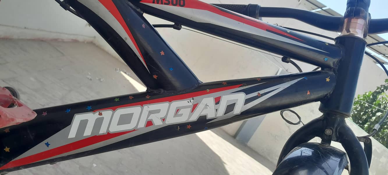 morgan cycle 5