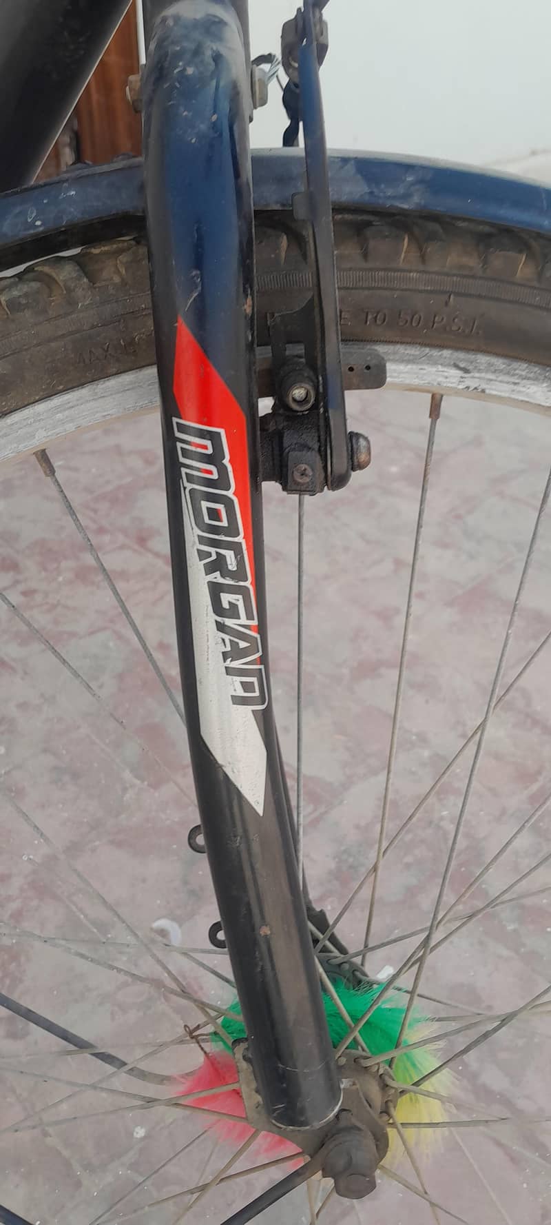morgan cycle 8