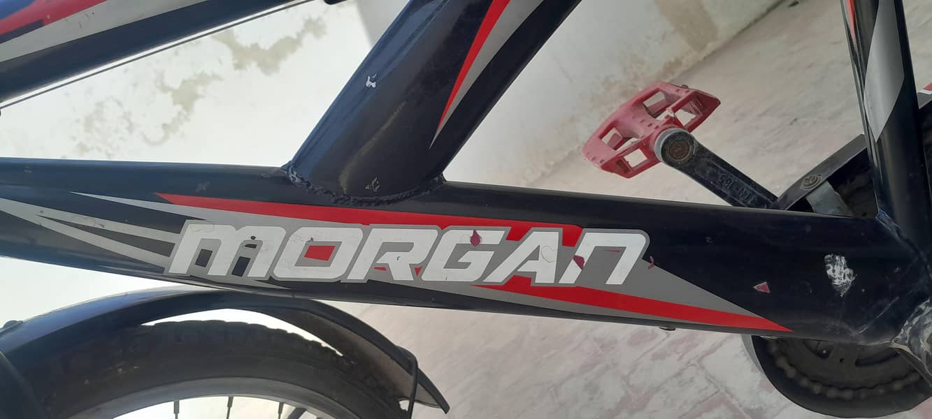morgan cycle 9