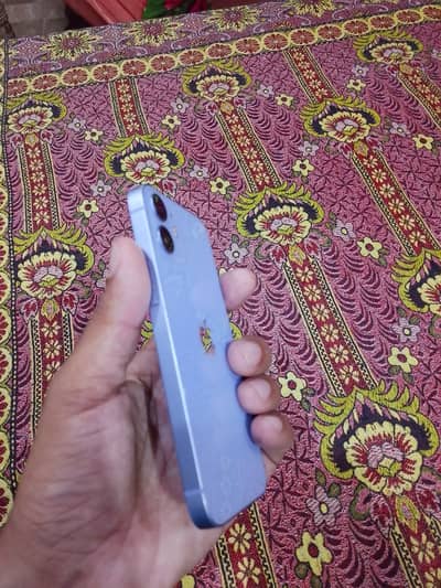 iPhone 12 mini
