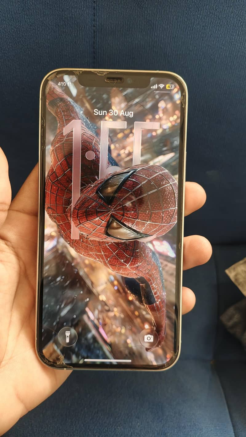 Apple iPhone 12 Pro 4