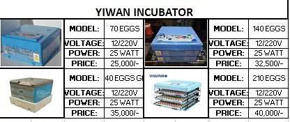 Intelligence HHD Yiwan Wonegg Incubator Automatic Incubators — photo 2