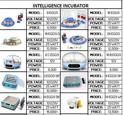 Intelligence HHD Yiwan Wonegg Incubator Automatic Incubators — photo 4