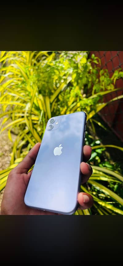 Apple iPhone 11
