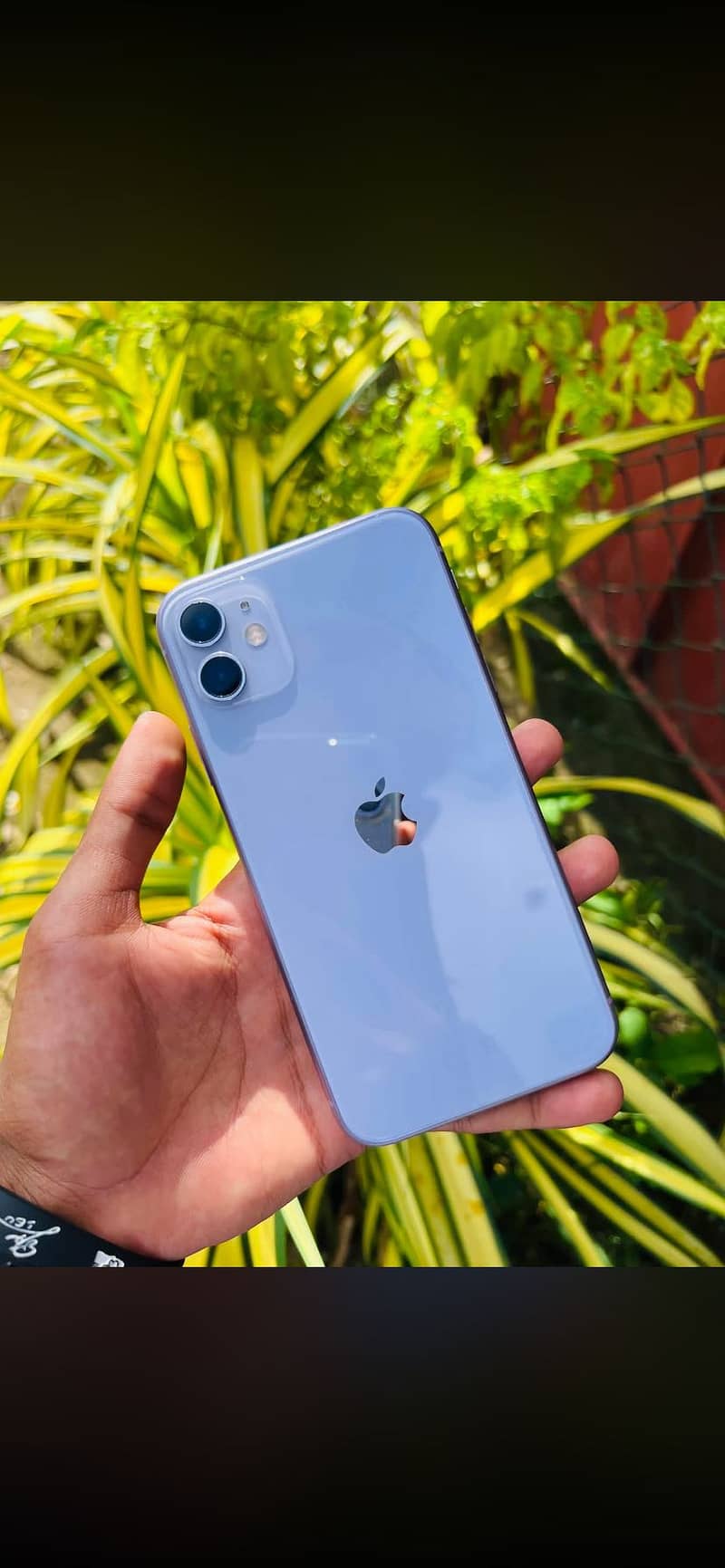 Apple iPhone 11 2