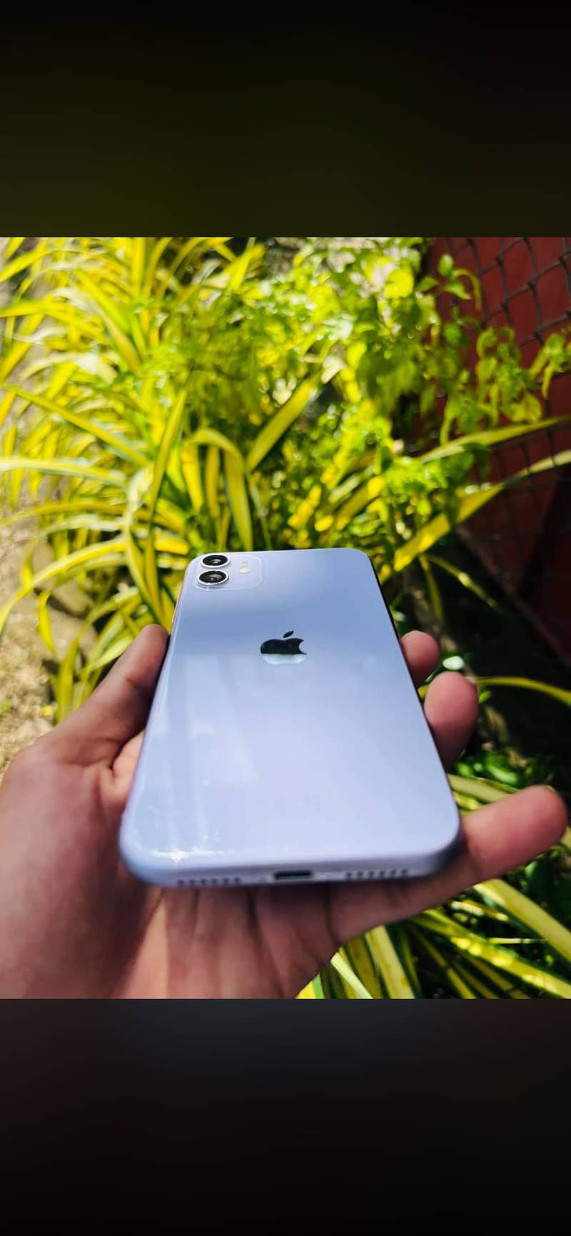 Apple iPhone 11 3