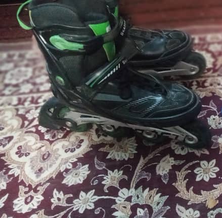 Skating Shoes 2