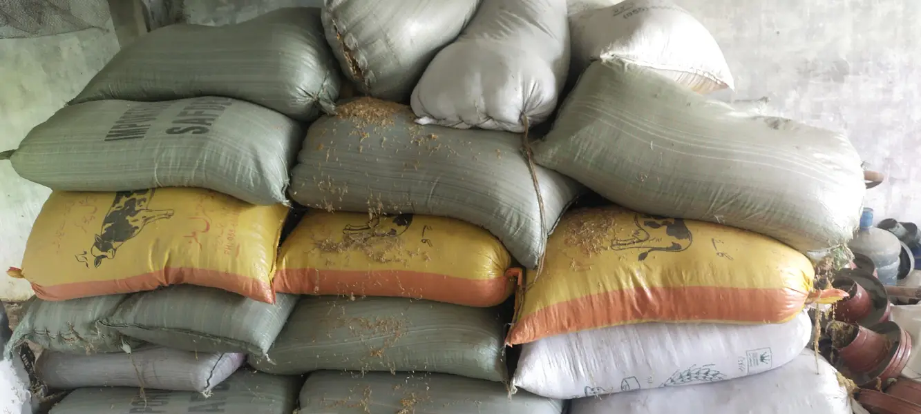 rice husk 12 kg bag 900 — photo 2