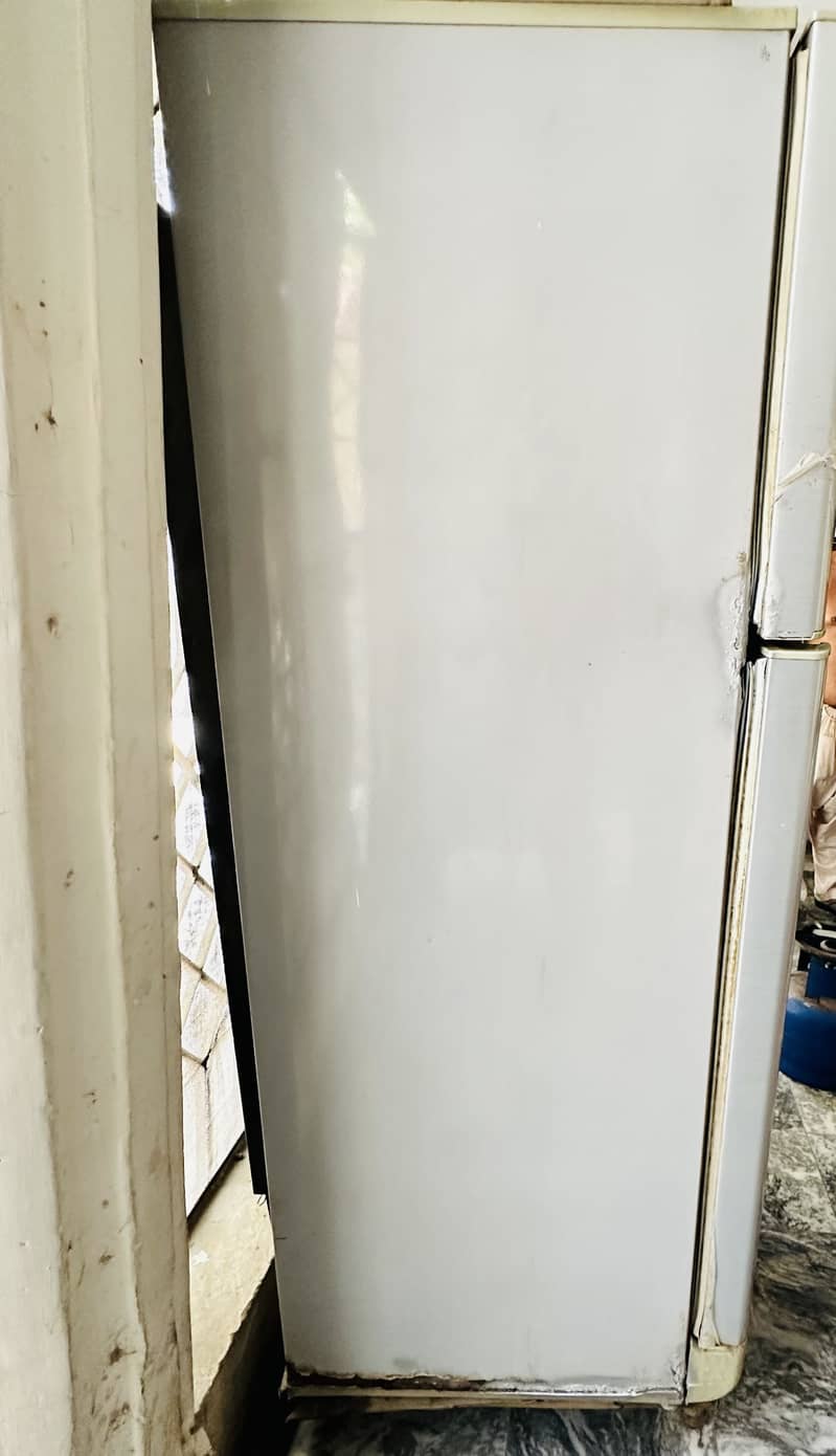PEL Refrigerator 4