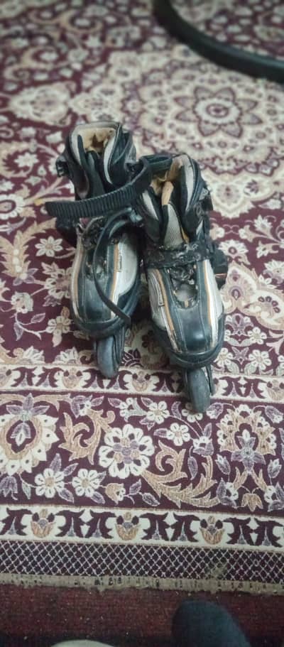 Skating shoes