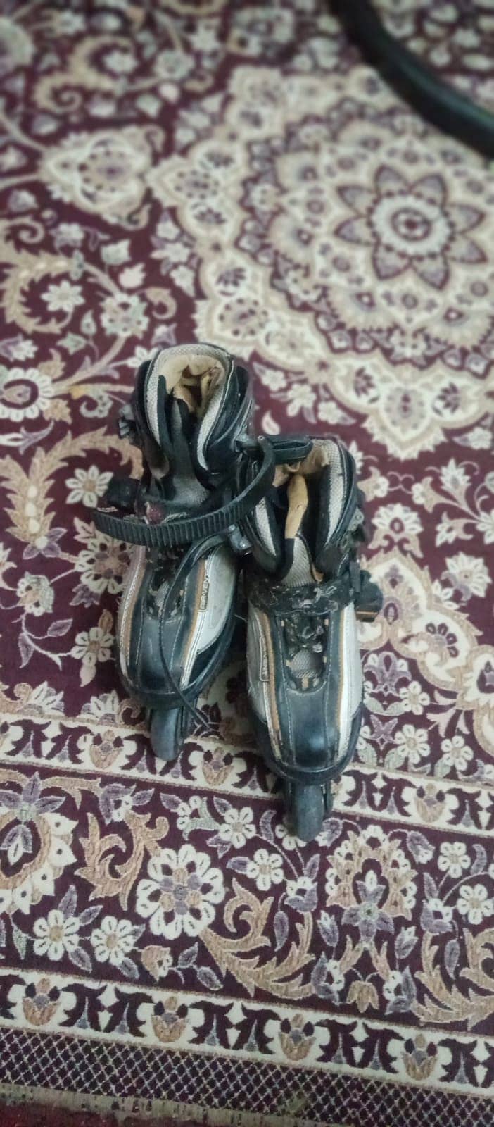 Skating shoes 1