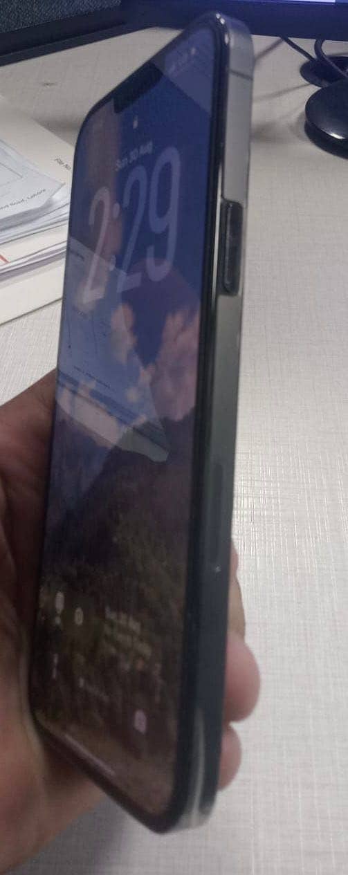 Apple iPhone 13 Pro Max 1