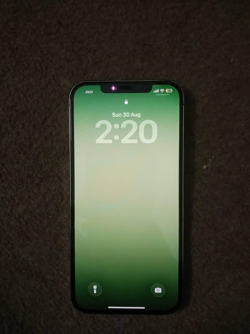 Apple iPhone 12 Pro Max 1