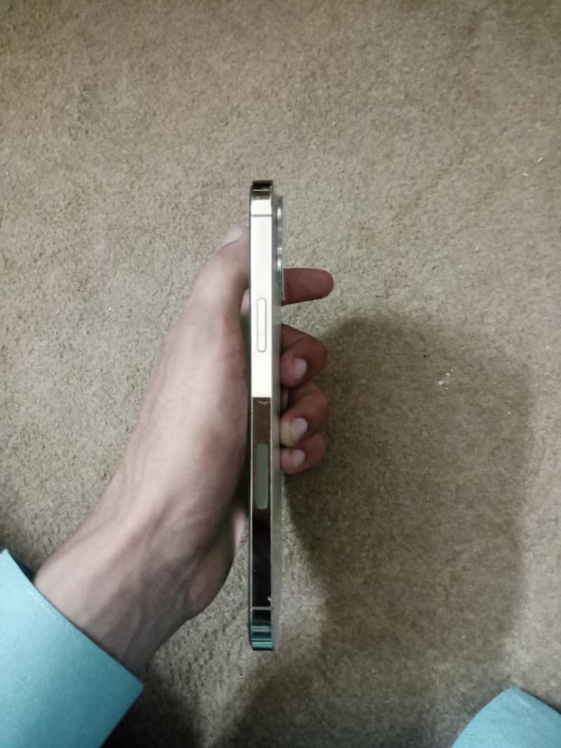 Apple iPhone 12 Pro Max 5
