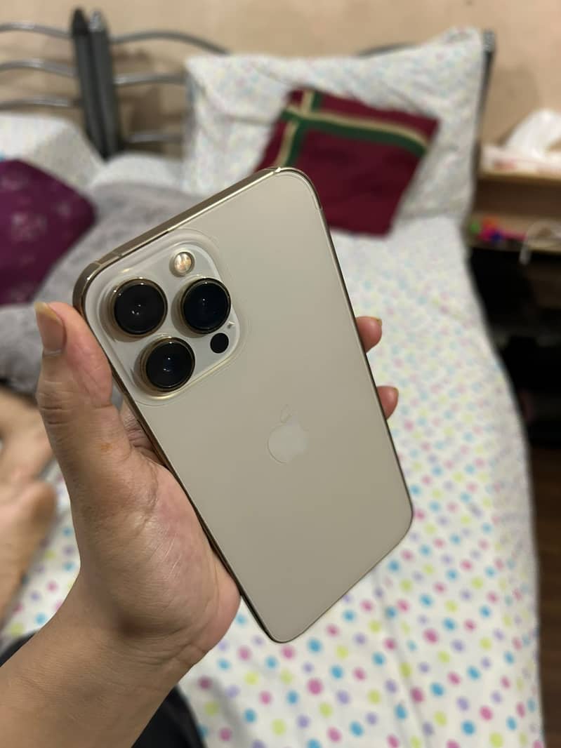 Apple iPhone 13 1