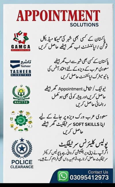 visa service's