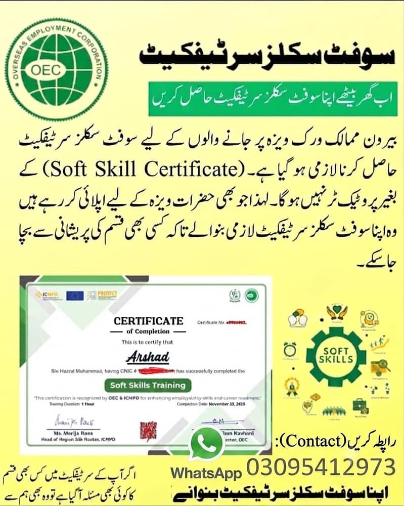 visa service's 1