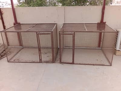 Hen or Parrot Cages