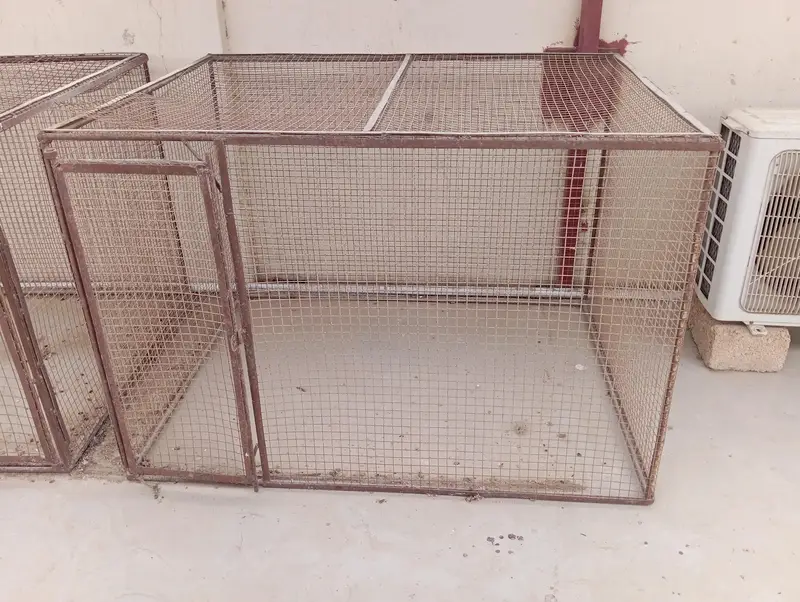 Hen or Parrot Cages — photo 3